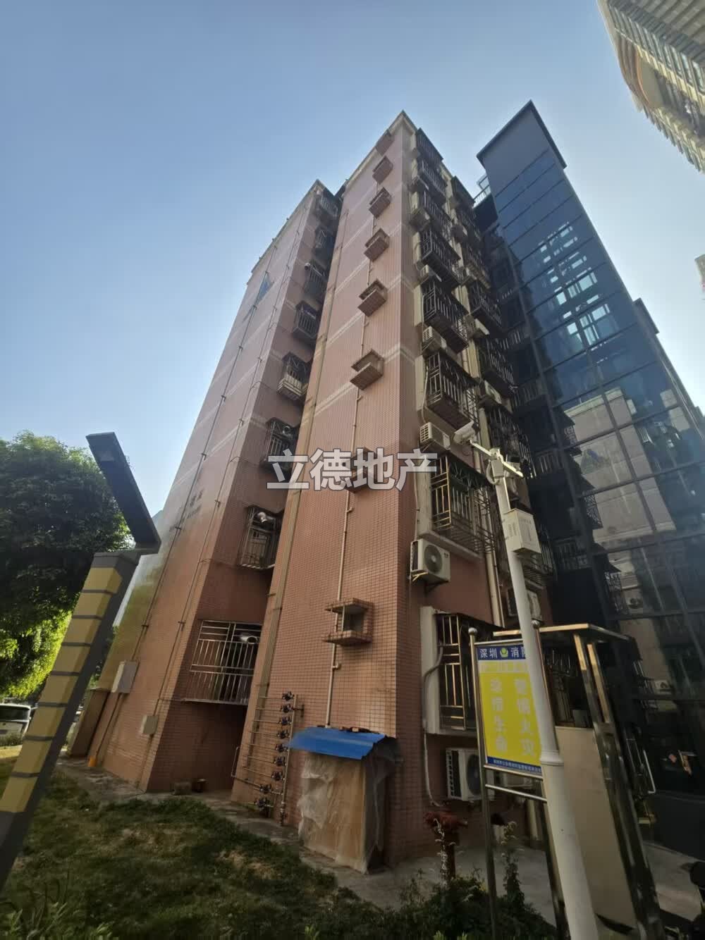 深圳市福田区红荔西路与竹子林三路交界西南竹盛花园9号楼101
