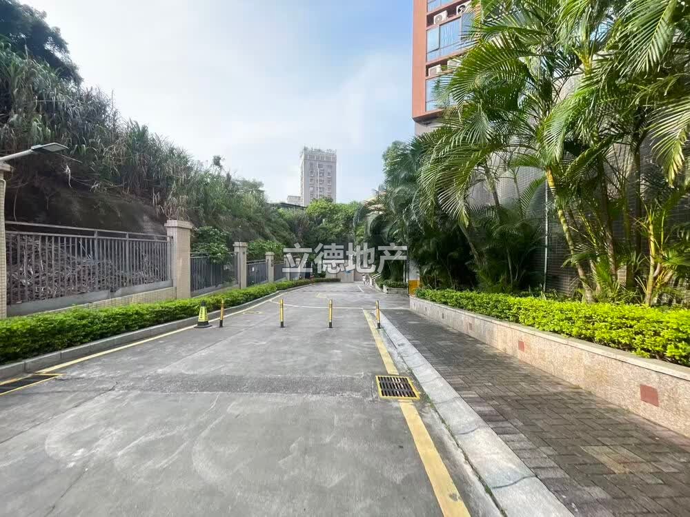 深圳市龙岗区布吉镇阳基新天地家园1栋B座9B