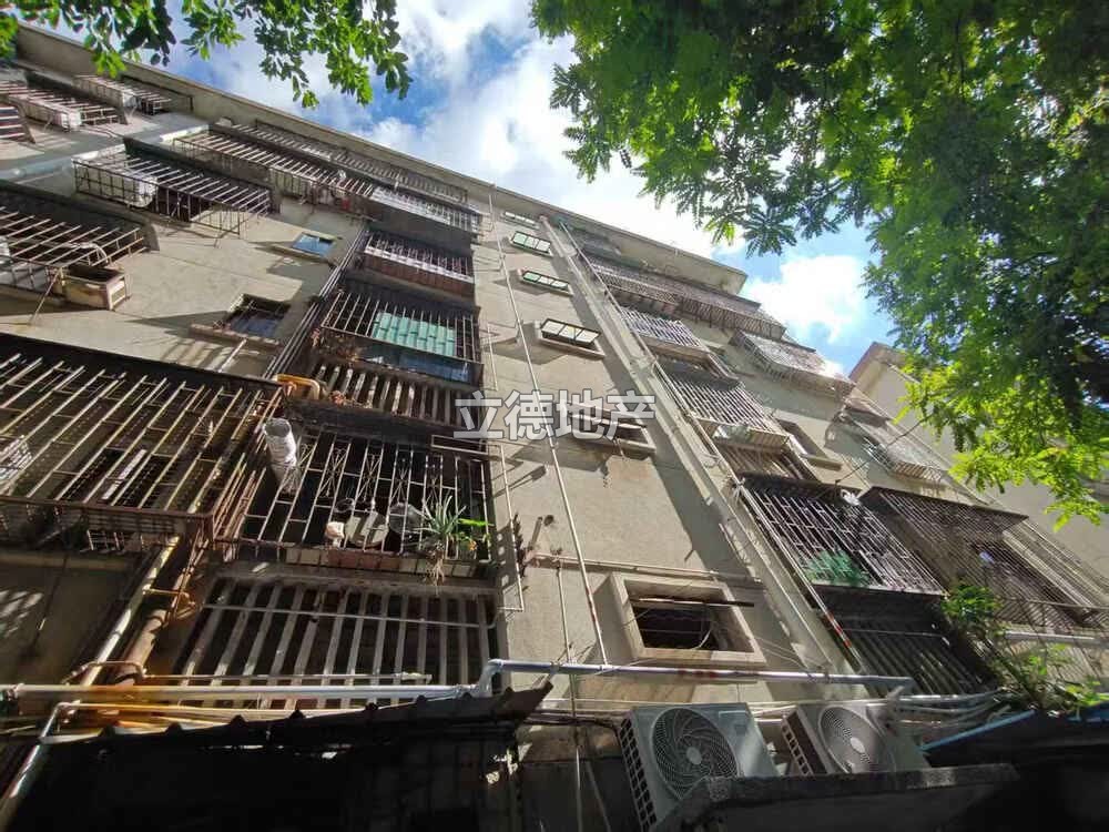 深圳市罗湖区中心路竹边新村竹边新村6栋304