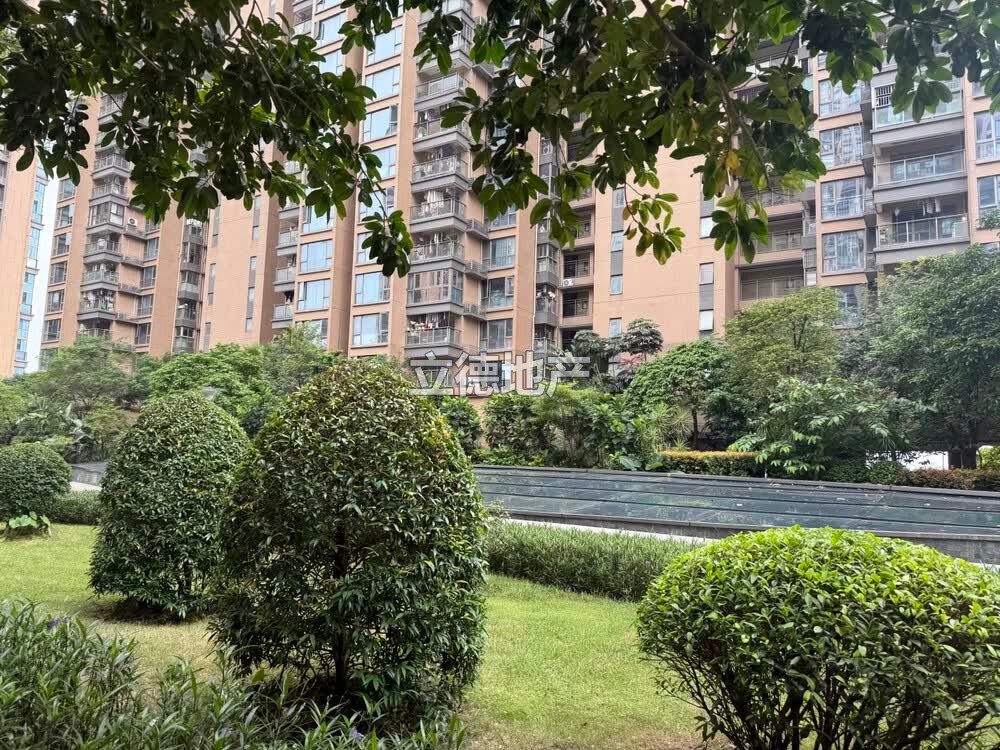 深圳市宝安区松岗街道联投东方华府(一期)6座29C