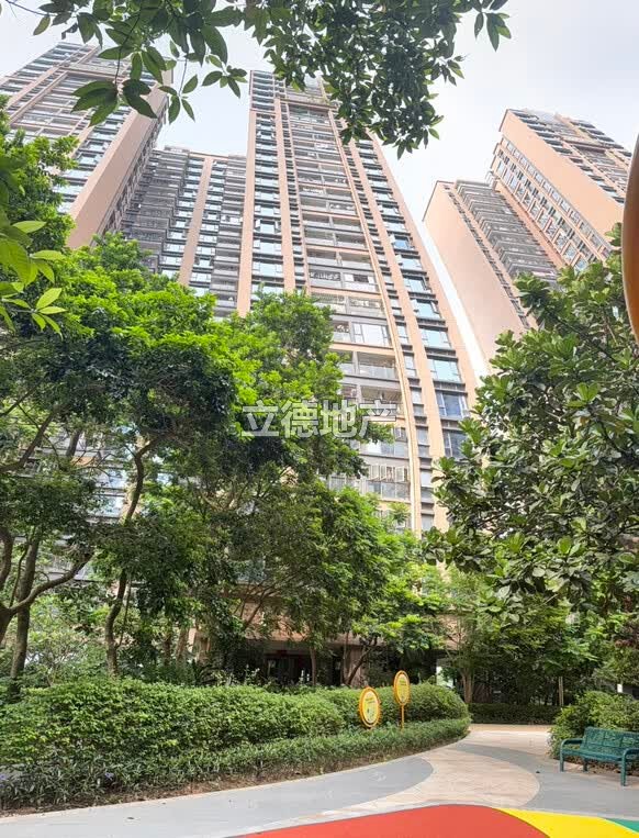 深圳市宝安区松岗街道联投东方华府(一期)6座29C