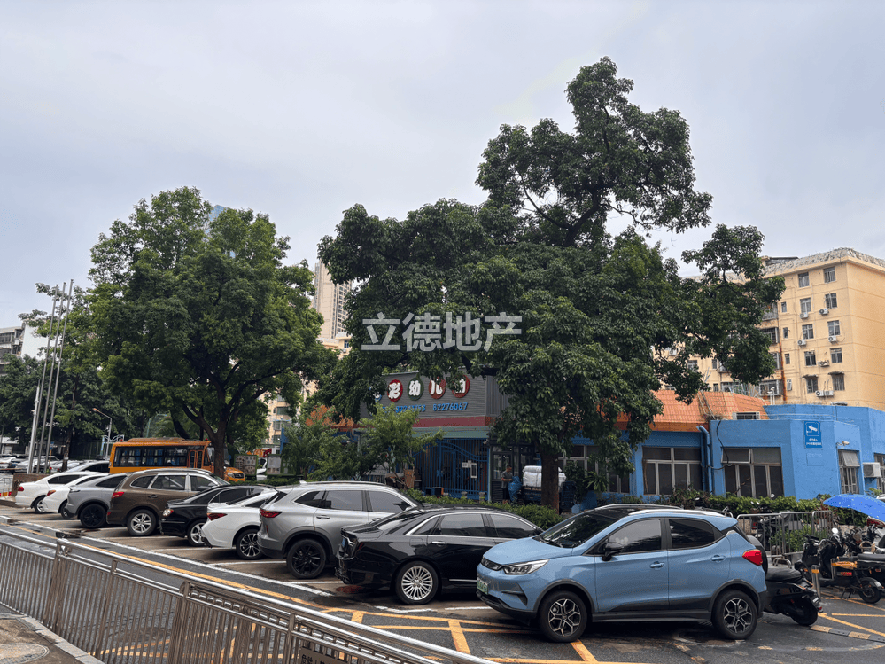 深圳市福田区东园路台湾花园大厦东座23B