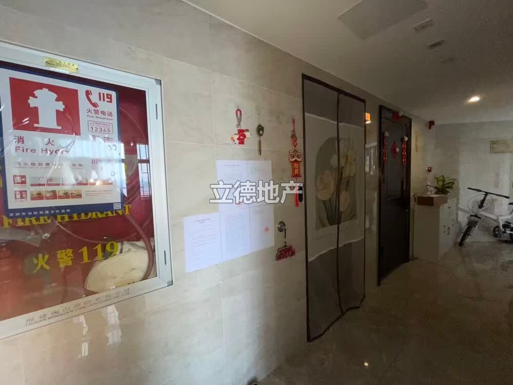 深圳市龙岗区龙城街道远洋新天地水岸花园8栋48B