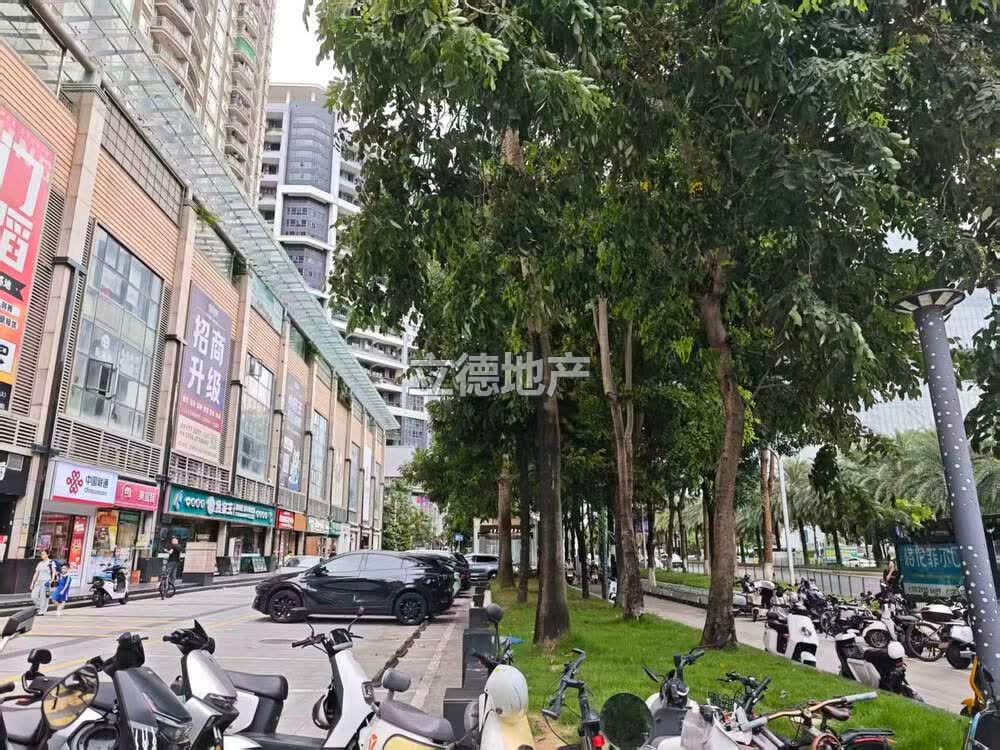 深圳市宝安区新安街道N5区德业新城花园A区1-2号楼2座101号铺