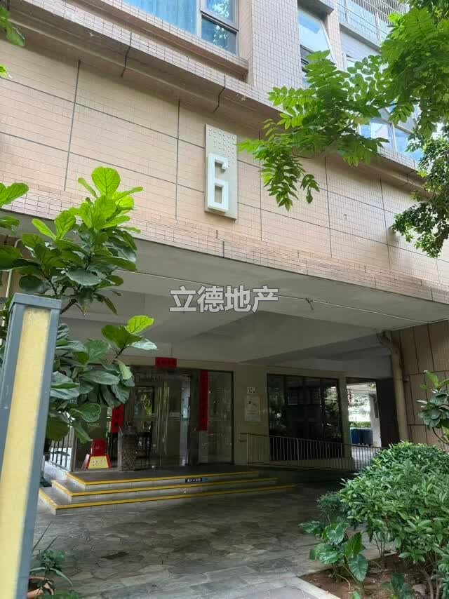 深圳市宝安区松岗街道联投东方华府(一期)6座29C