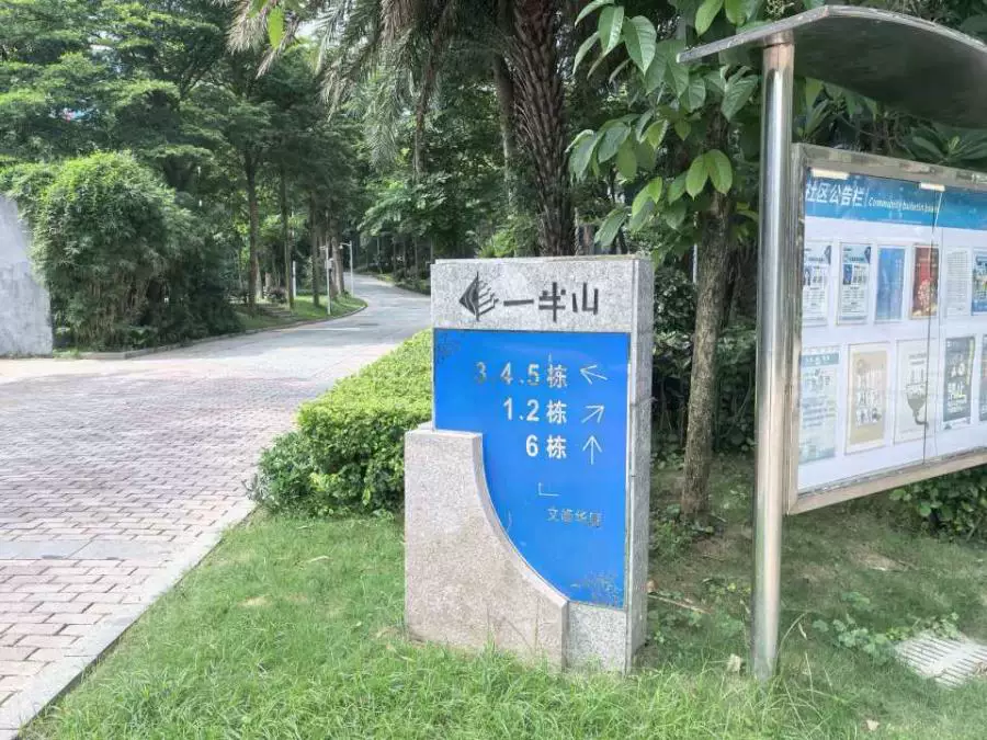 深圳市龙岗区南湾街道文峰华庭2栋2005